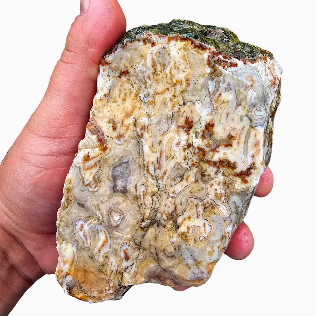 Apple Valley Agate Lapidary Rough Chunk Morocco