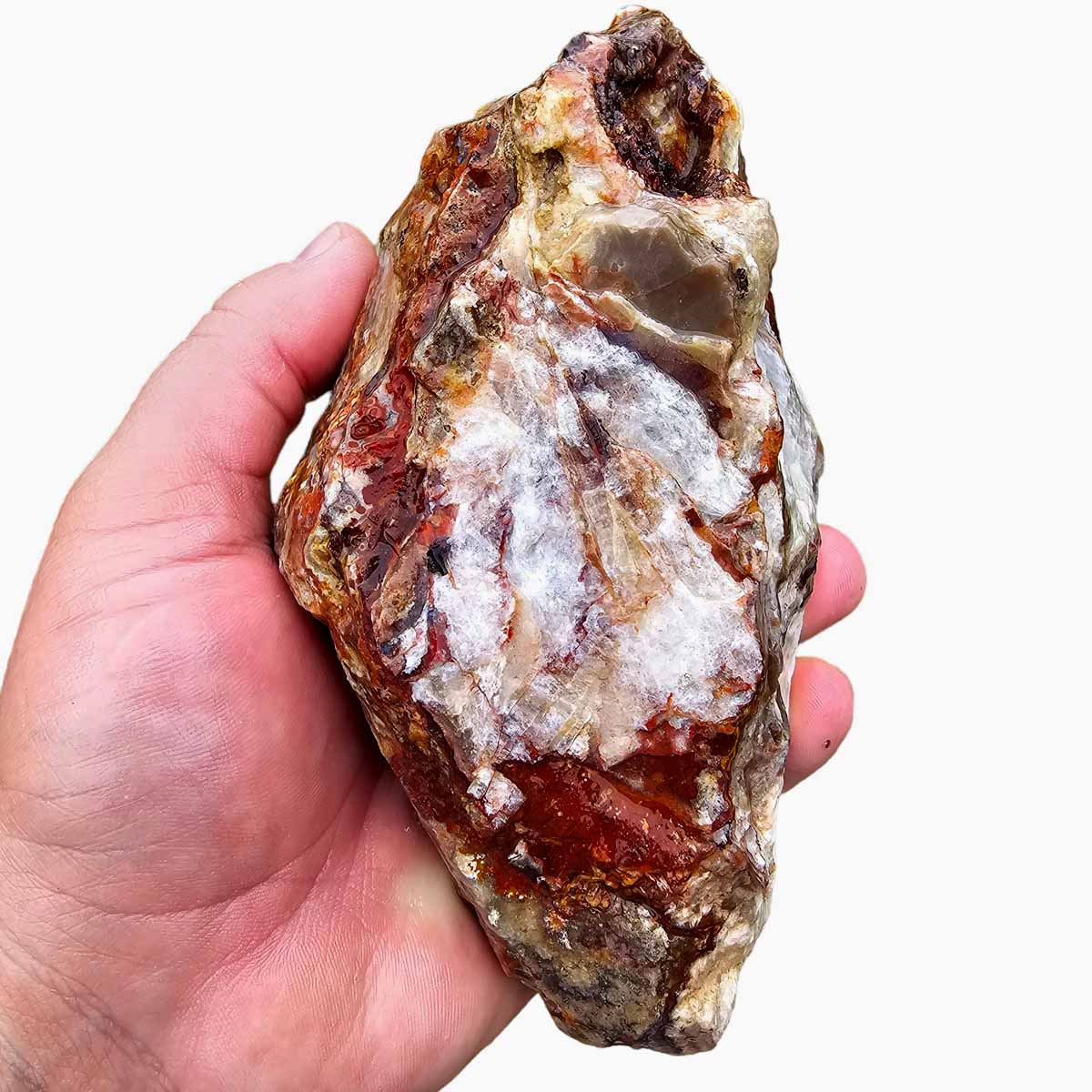 Laguna Lace Agate Cut Rough Chunk