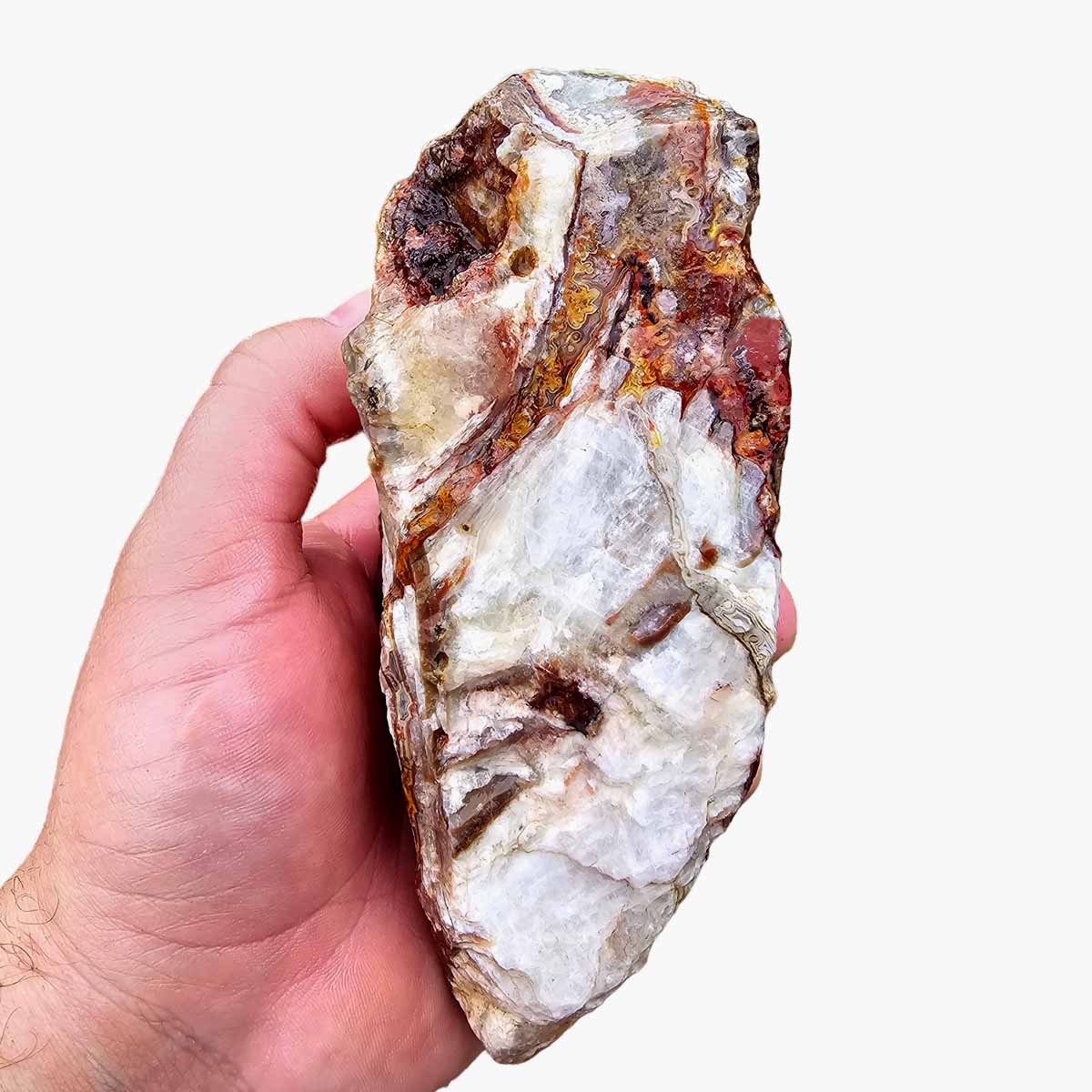 Laguna Lace Agate Cut Rough Chunk