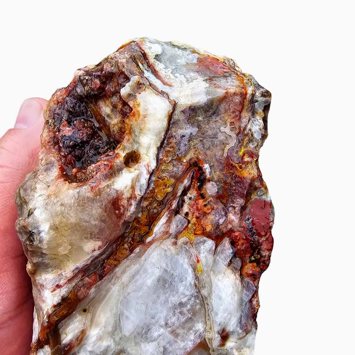 Laguna Lace Agate Cut Rough Chunk