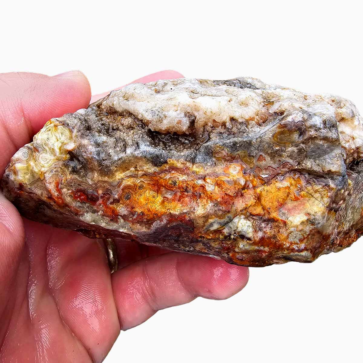 Laguna Lace Agate Cut Rough Chunk