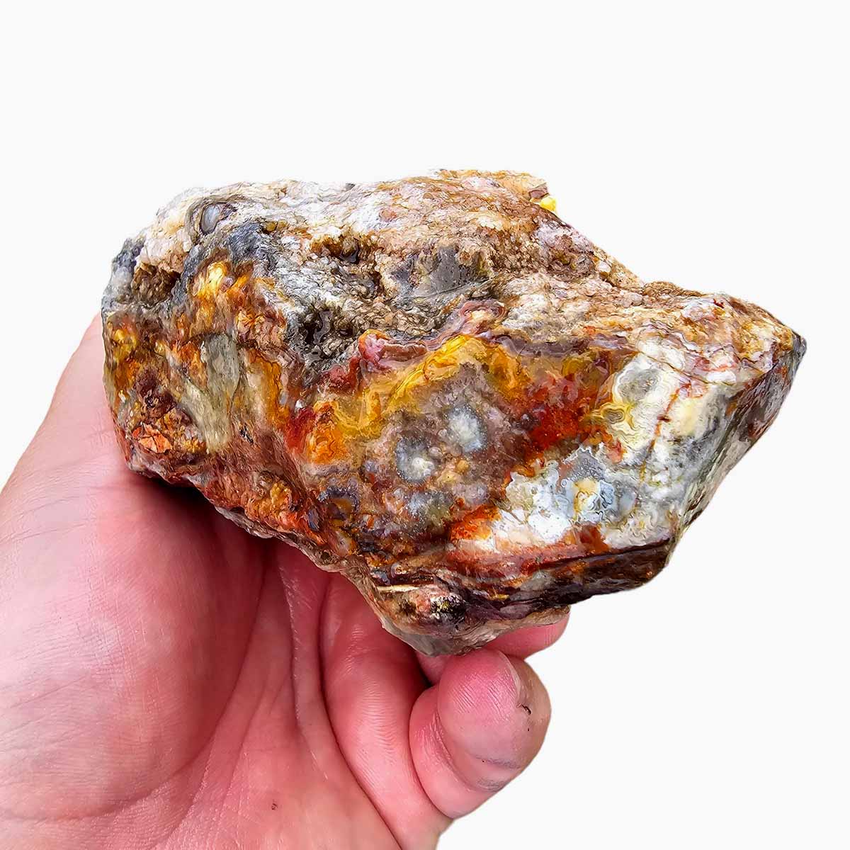 Laguna Lace Agate Cut Rough Chunk