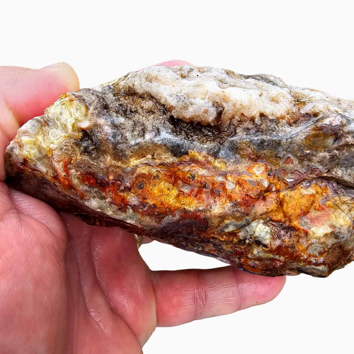 Laguna Lace Agate Cut Rough Chunk