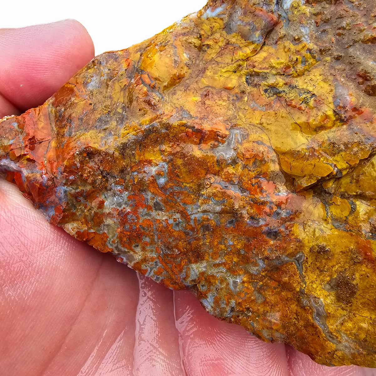 Apple Valley Agate Lapidary Rough Chunk Morocco