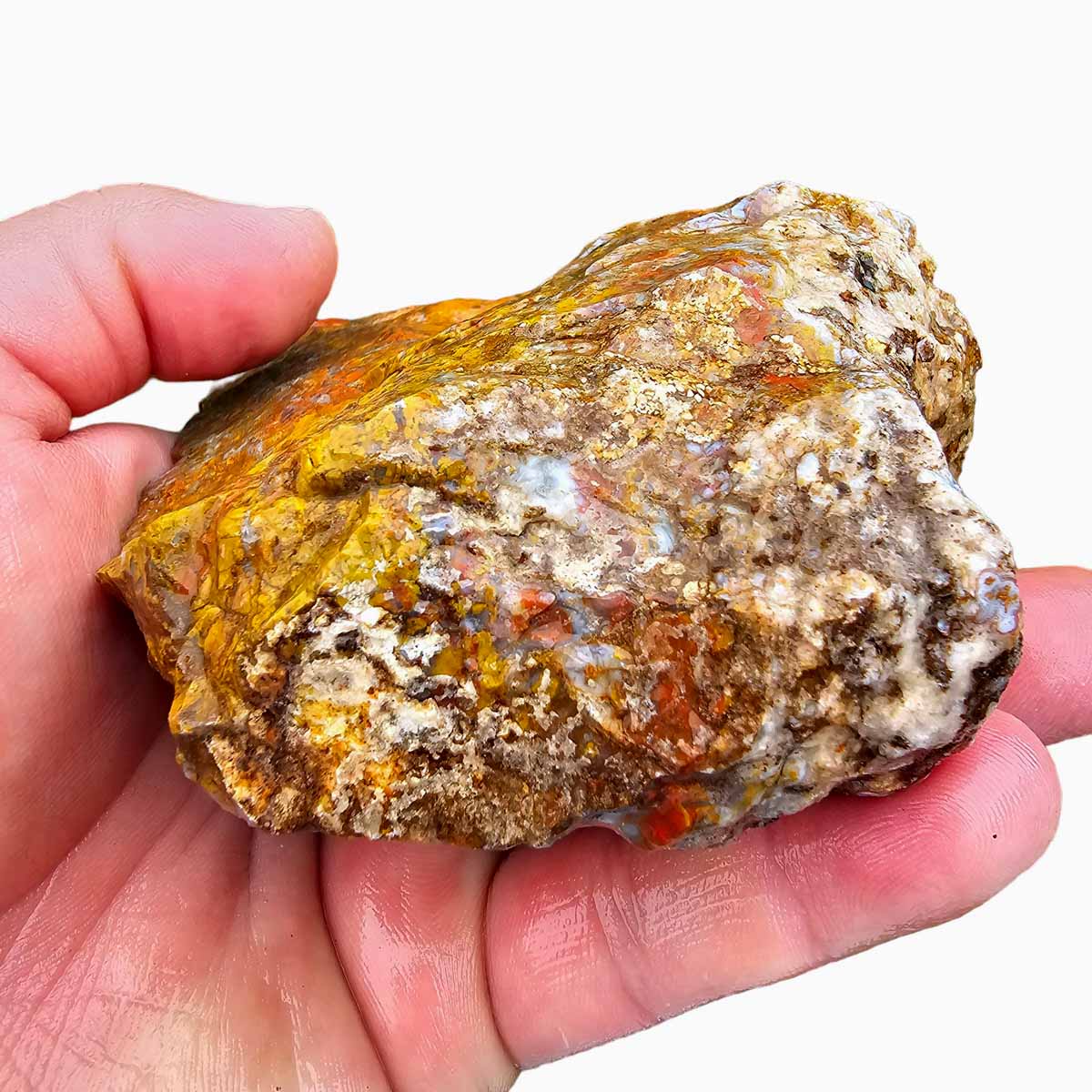 Apple Valley Agate Lapidary Rough Chunk Morocco