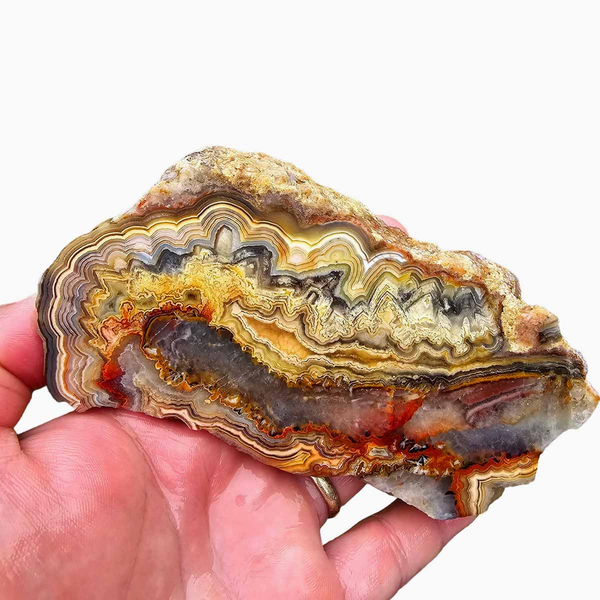 Cut Laguna Lace Agate Cut Rough Chunk