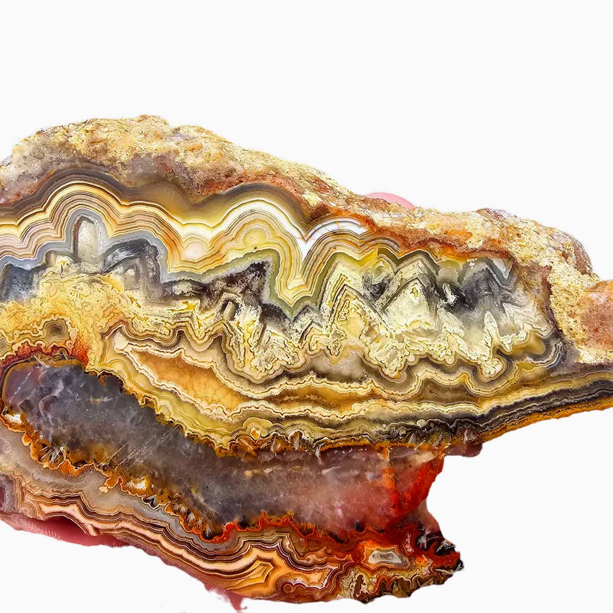 Cut Laguna Lace Agate Cut Rough Chunk