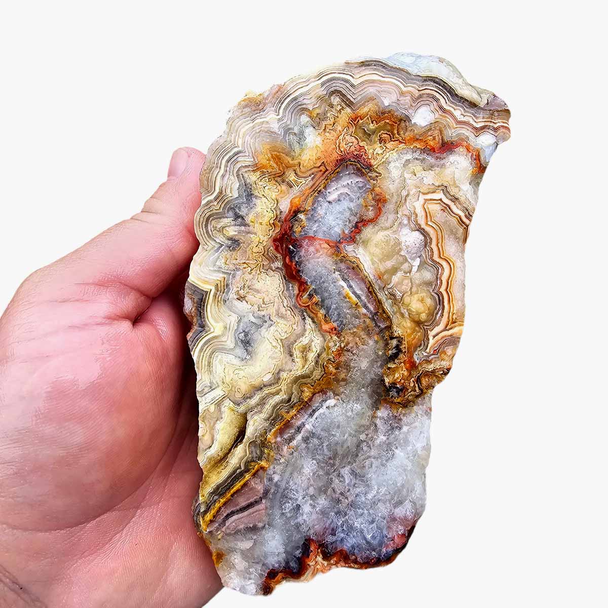 Cut Laguna Lace Agate Cut Rough Chunk