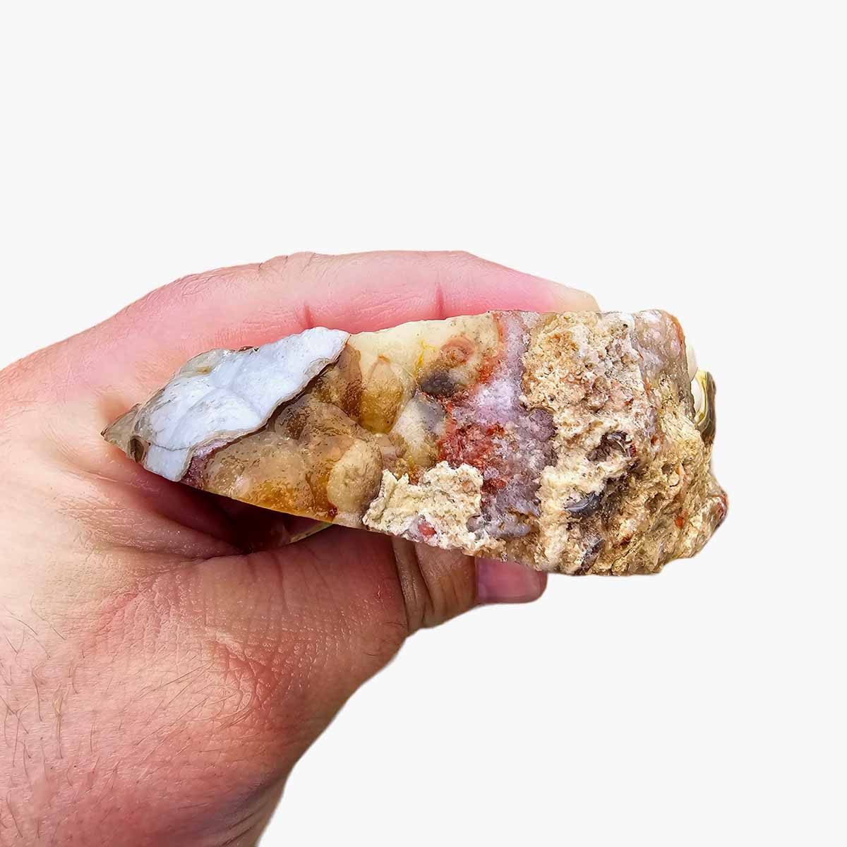 Cut Laguna Lace Agate Cut Rough Chunk