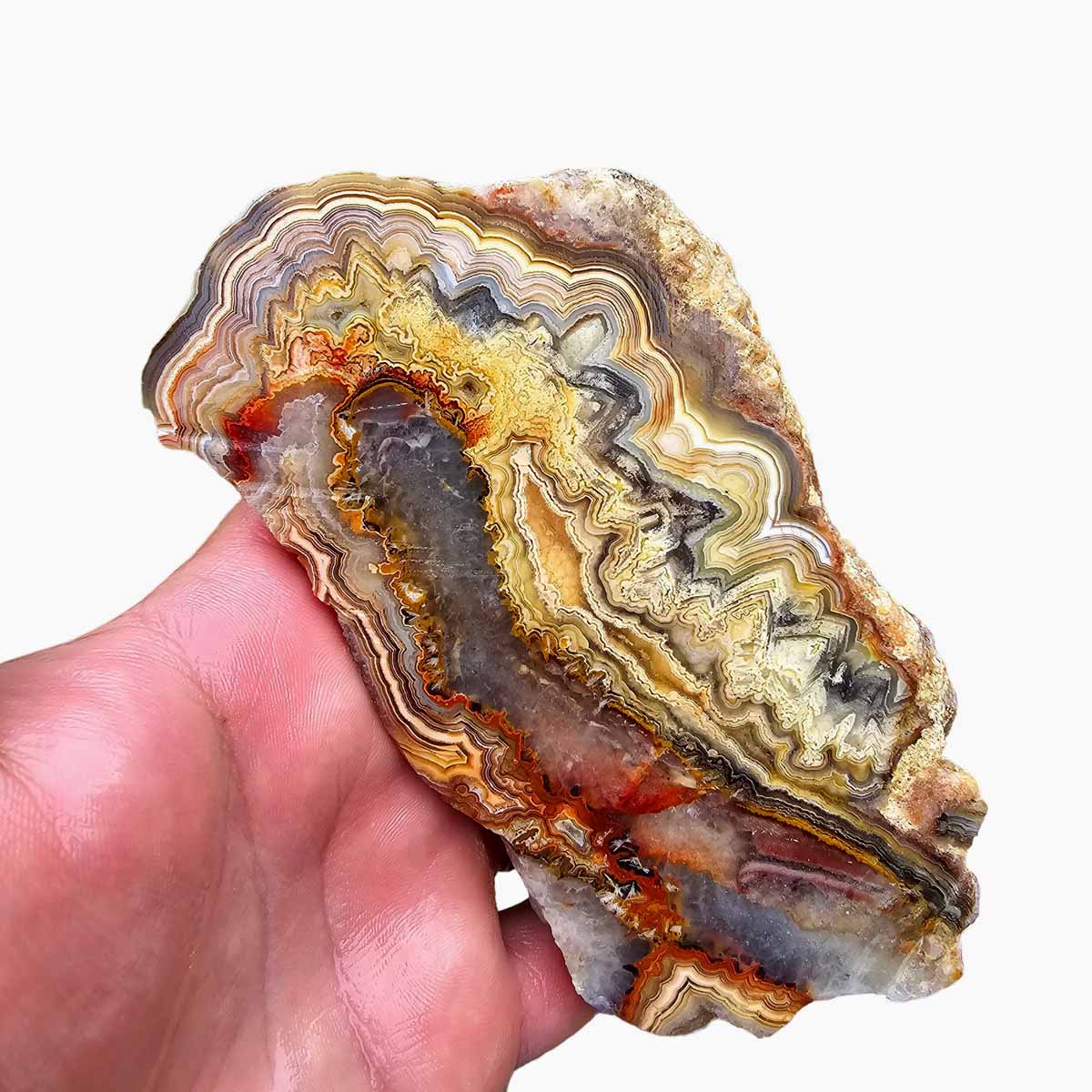 Cut Laguna Lace Agate Cut Rough Chunk