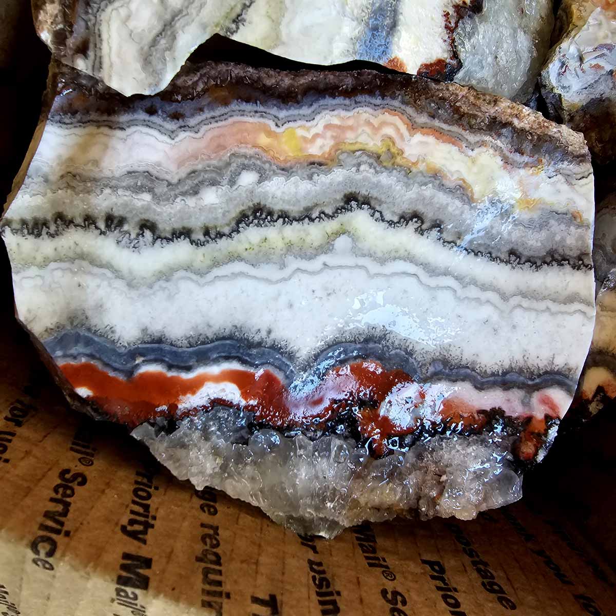 Crazy Lace Agate Lapidary Rough Flatrate