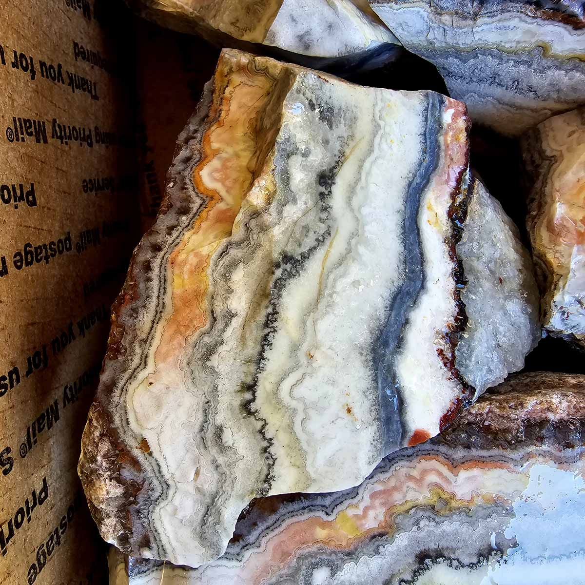 Crazy Lace Agate Lapidary Rough Flatrate