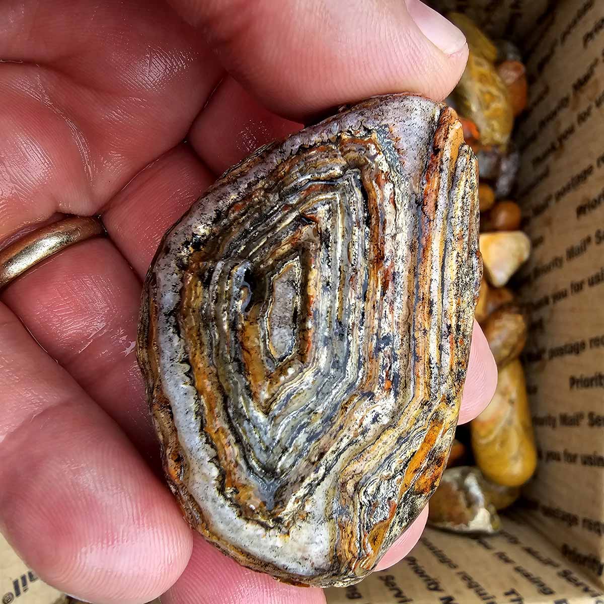 Bahia Agate Brazilian Rainbow Agate Lapidary Rough Flatrate