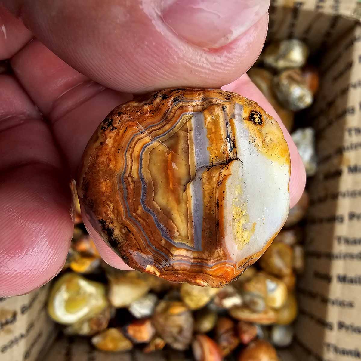 Bahia Agate Brazilian Rainbow Agate Lapidary Rough Flatrate