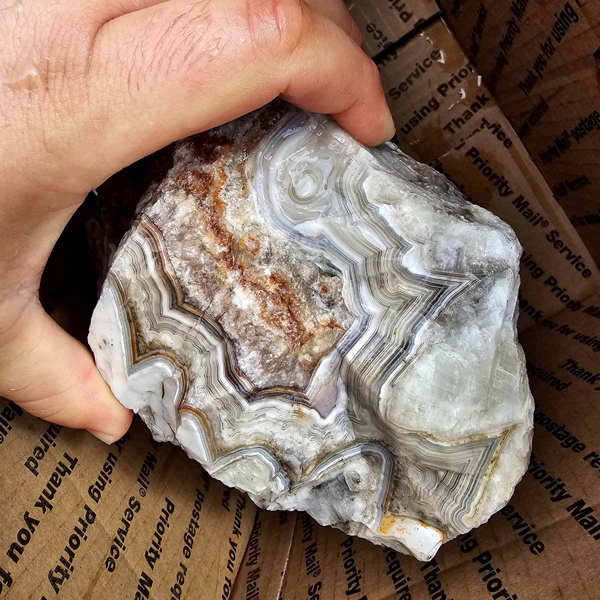 Old Vein Bubble Lace Agate Lapidary Rough Flatrate