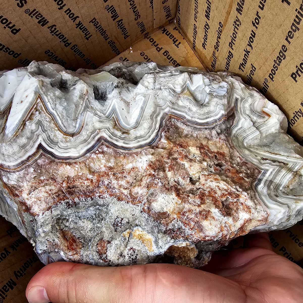 Old Vein Bubble Lace Agate Lapidary Rough Flatrate