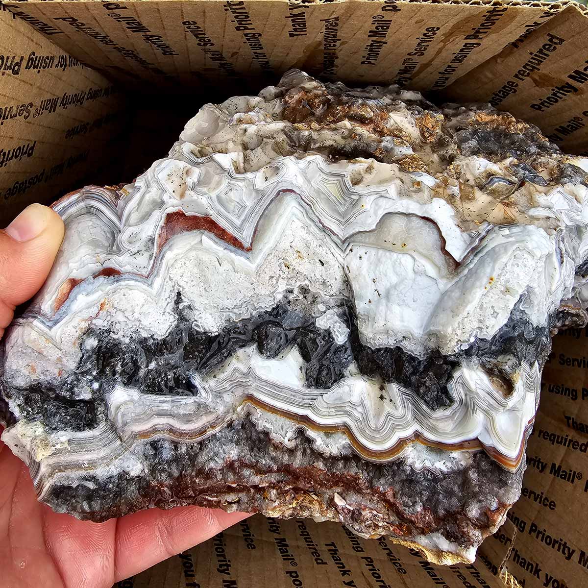 Old Vein Bubble Lace Agate Lapidary Rough Flatrate