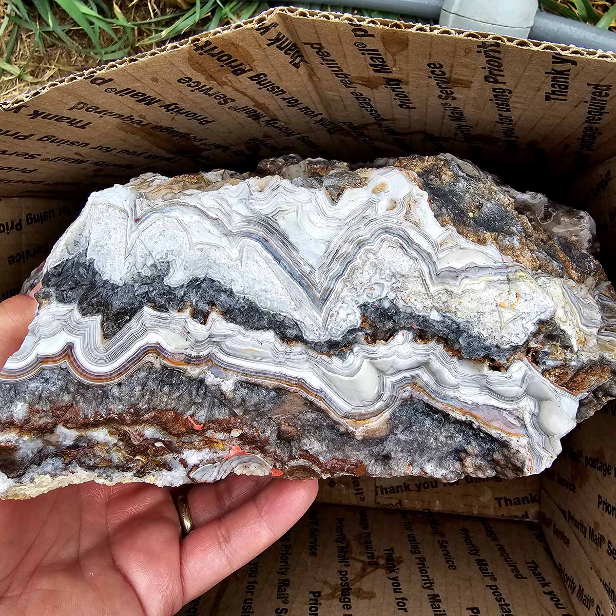 Old Vein Bubble Lace Agate Lapidary Rough Flatrate