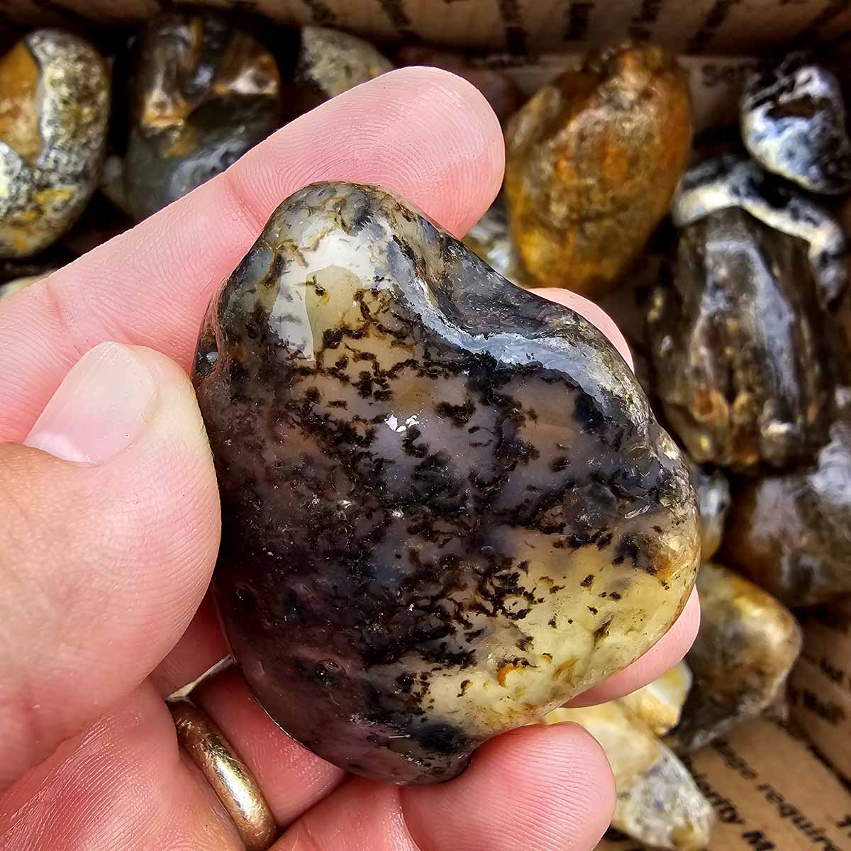 Rare Old Stock Montana Agate Lapidary Rough Flatrate