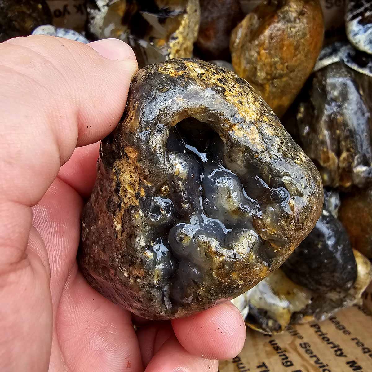 Rare Old Stock Montana Agate Lapidary Rough Flatrate