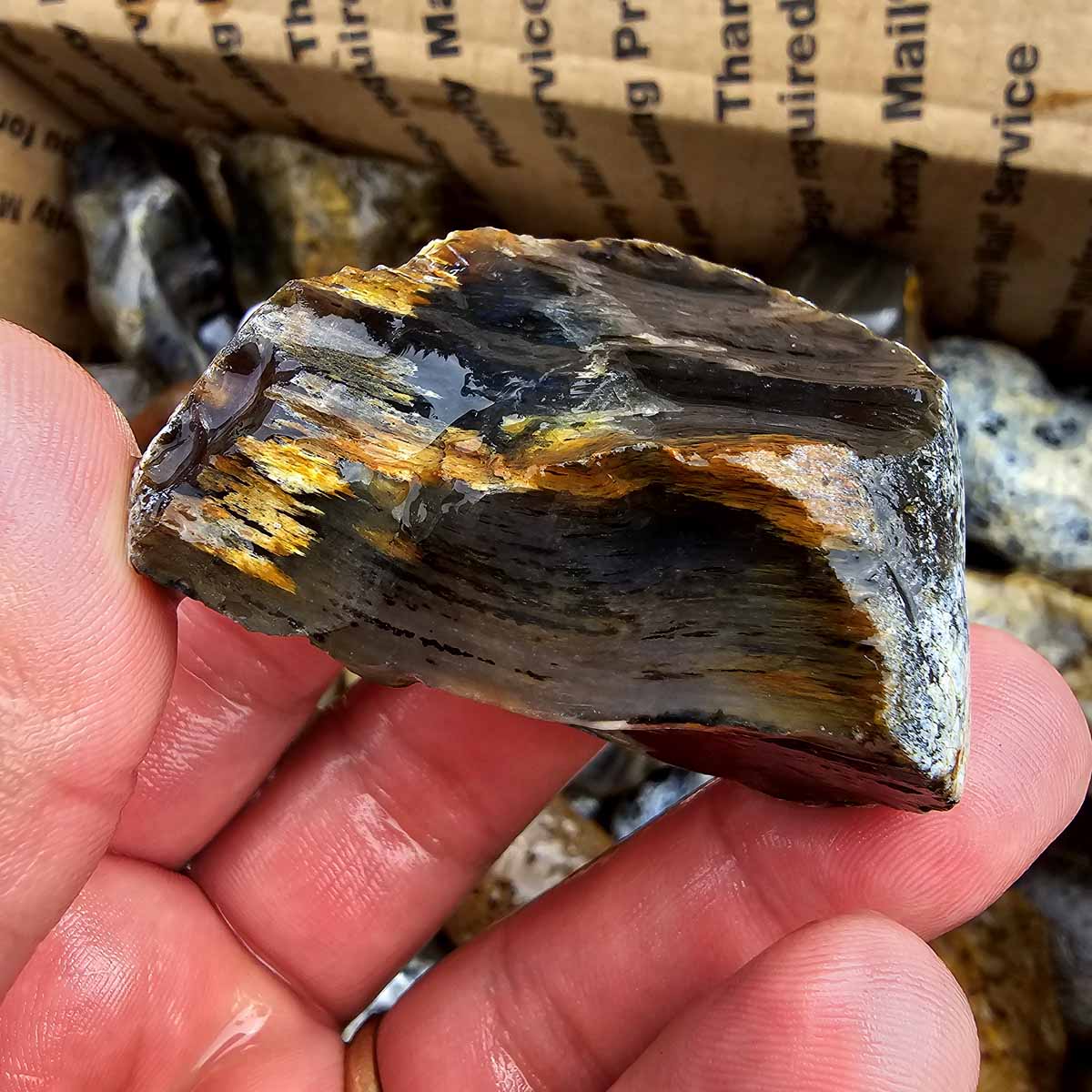 Rare Old Stock Montana Agate Lapidary Rough Flatrate