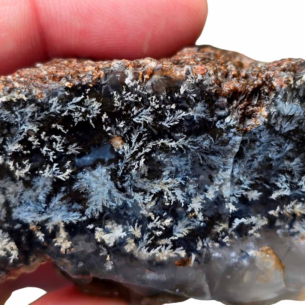 Mystery Plume Agate Lapidary Rough Chunk