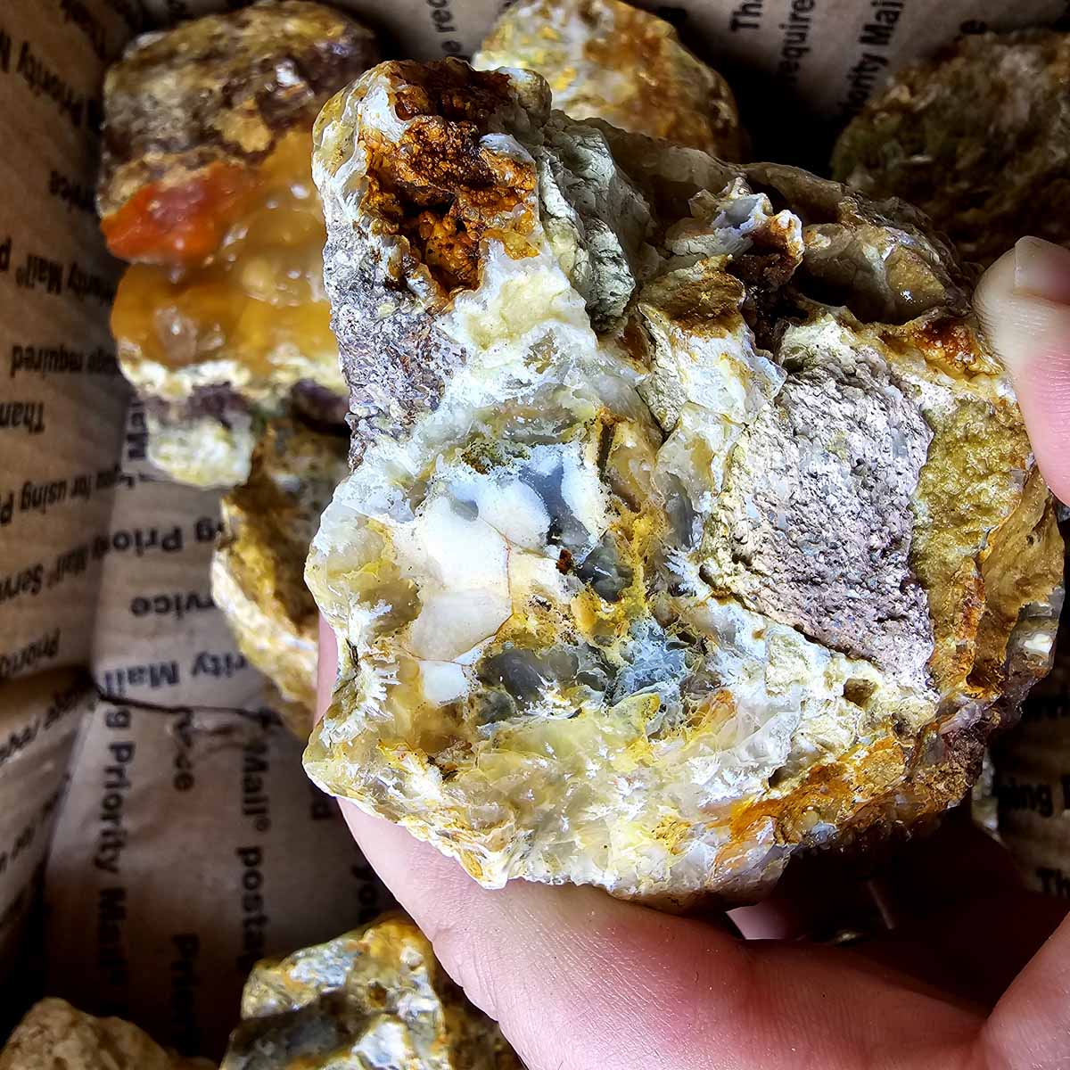 Rare Regency Rose Graveyard Point Plume Agate Lapidary Rough Flatrate