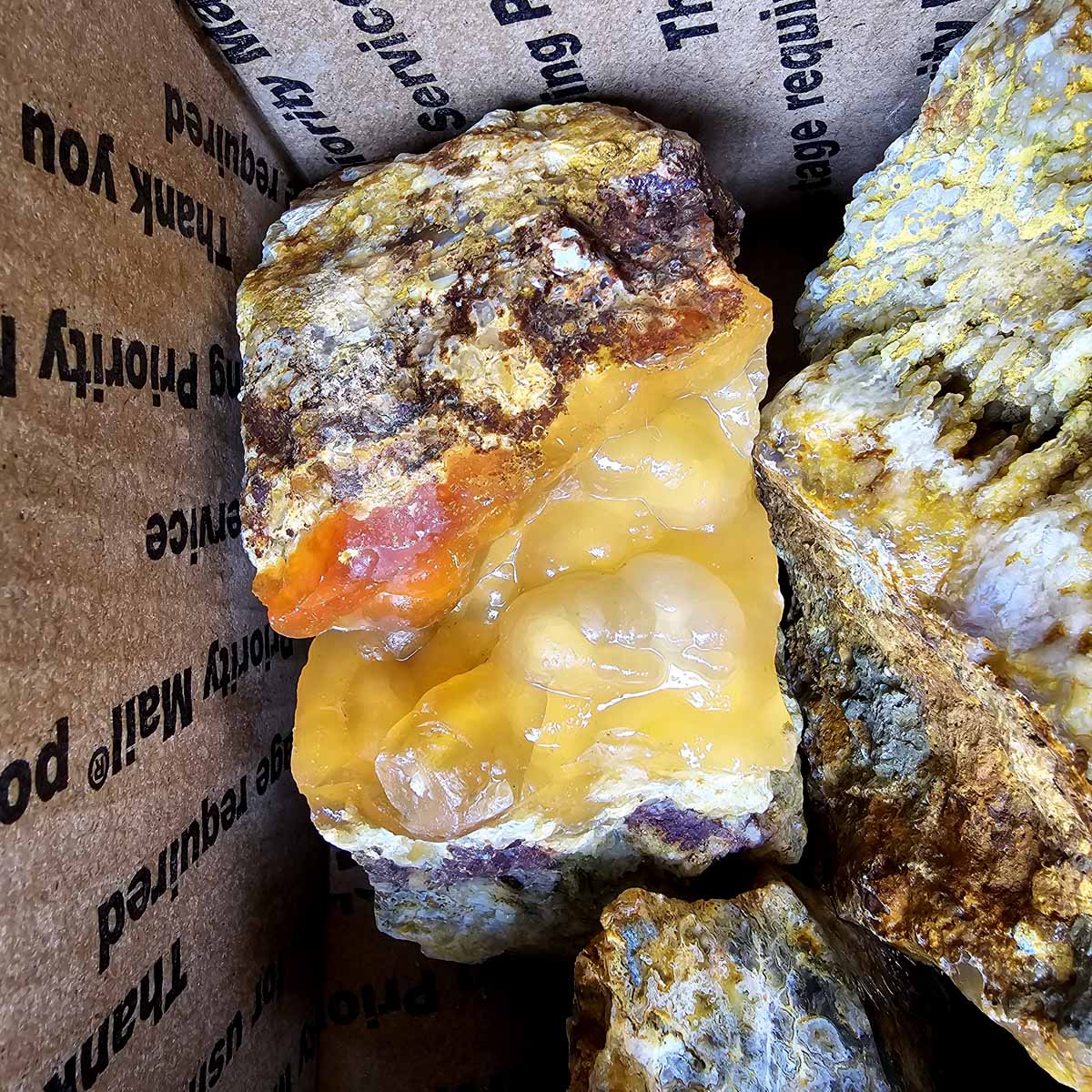 Rare Regency Rose Graveyard Point Plume Agate Lapidary Rough Flatrate