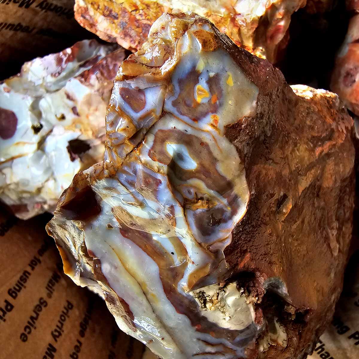 Rooster Tail Rhyolite Bullseye Rhyolite Lapidary Rough Flatrate