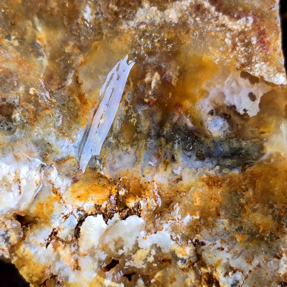 Rare Regency Rose Graveyard Point Plume Agate Lapidary Rough Flatrate