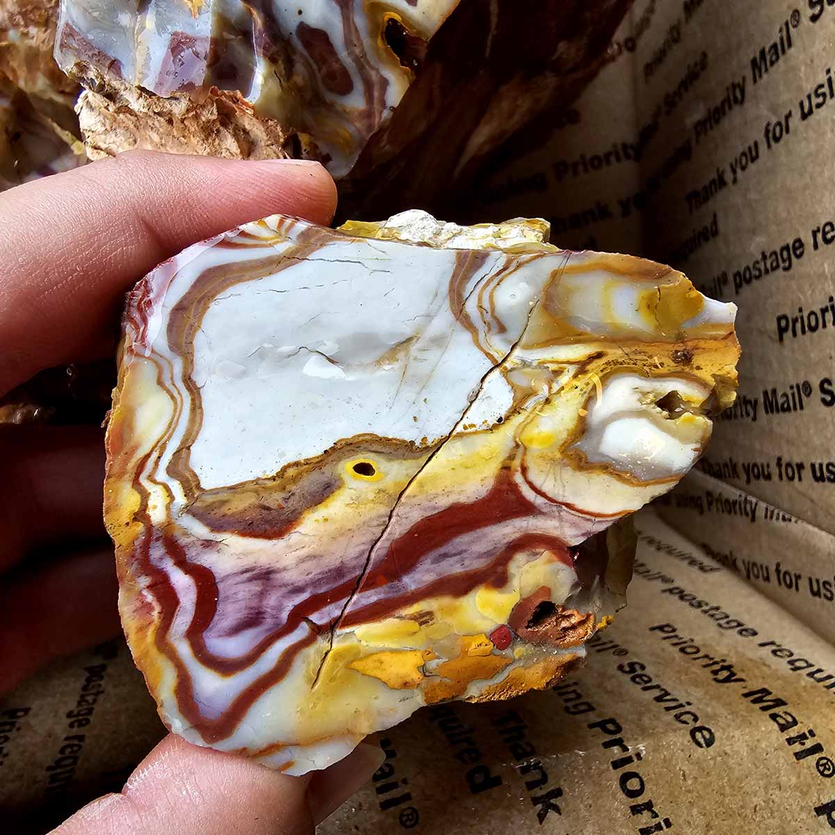 Rooster Tail Rhyolite Bullseye Rhyolite Lapidary Rough Flatrate