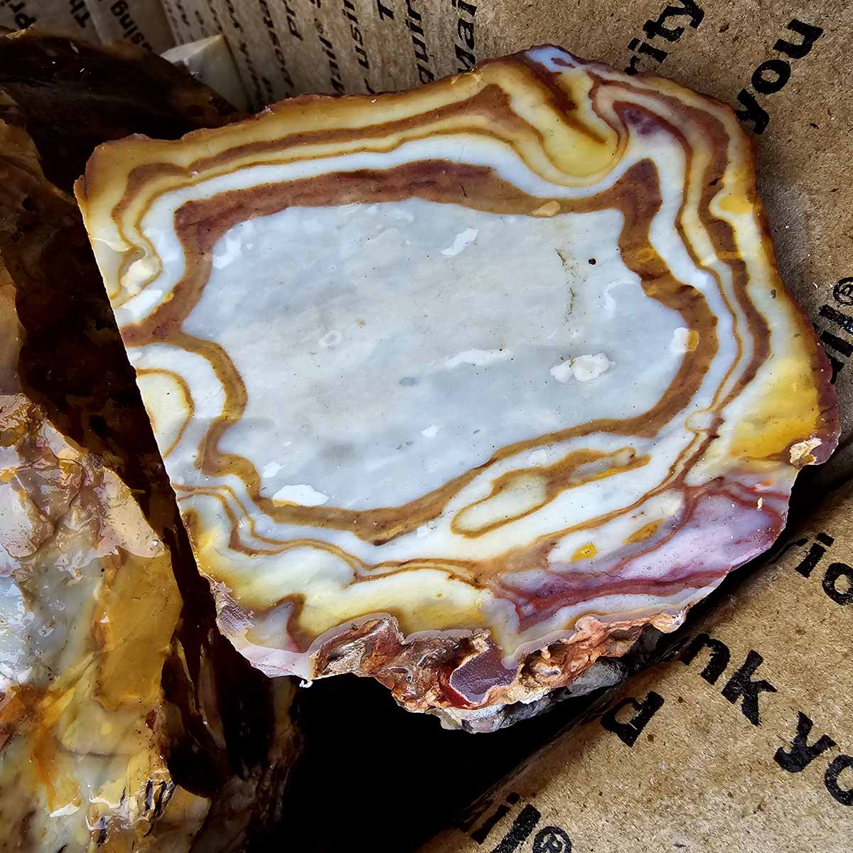 Rooster Tail Rhyolite Bullseye Rhyolite Lapidary Rough Flatrate