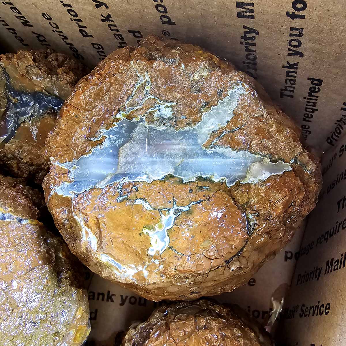 Old Stock Oregon Thunderegg Cutting Rough Flatrate