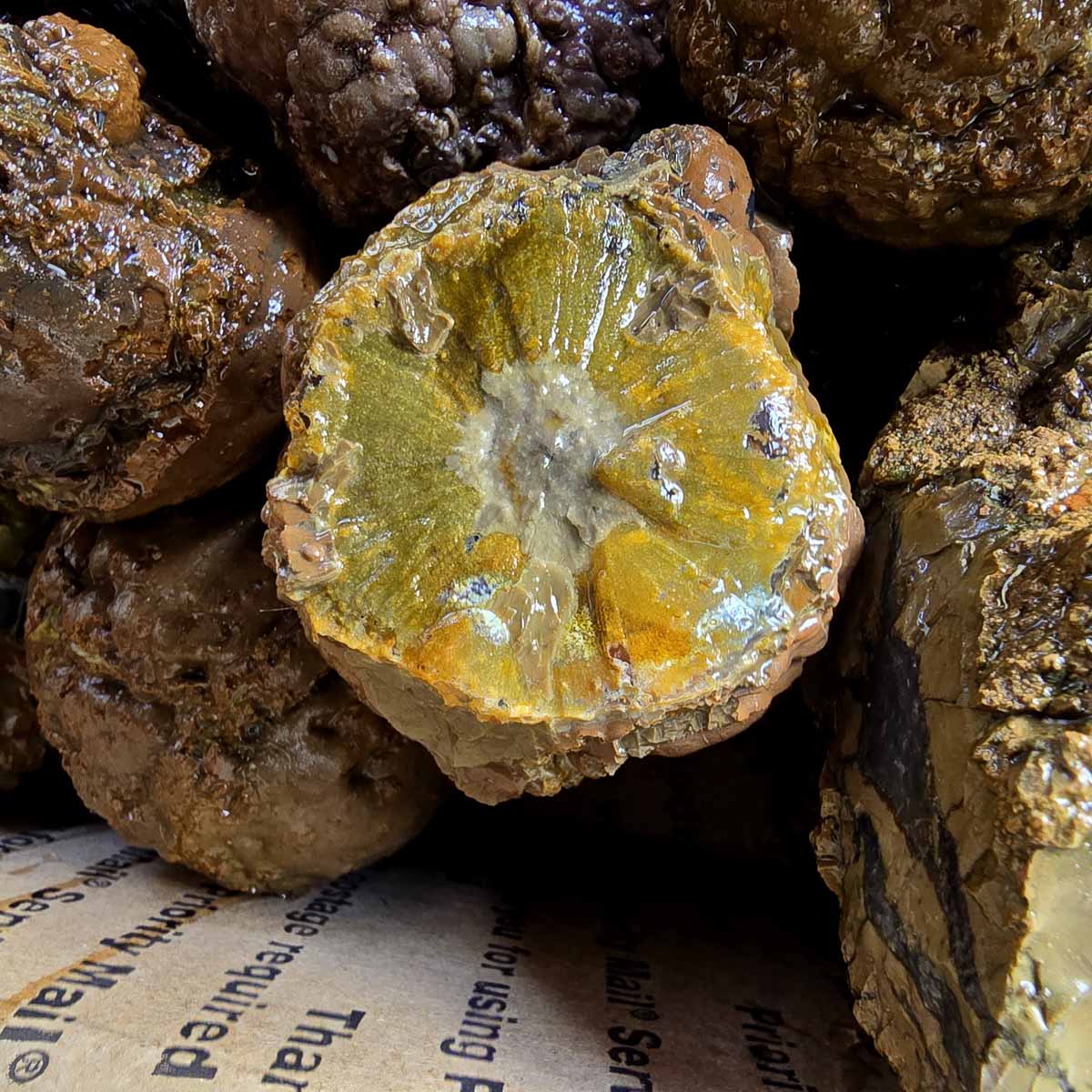 Old Stock Oregon Thunderegg Cutting Rough Flatrate