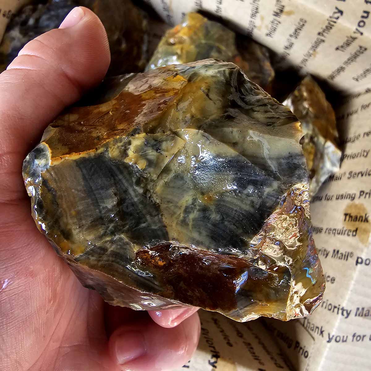 Ohio Flint Lapidary Cutting Rough Flatrate