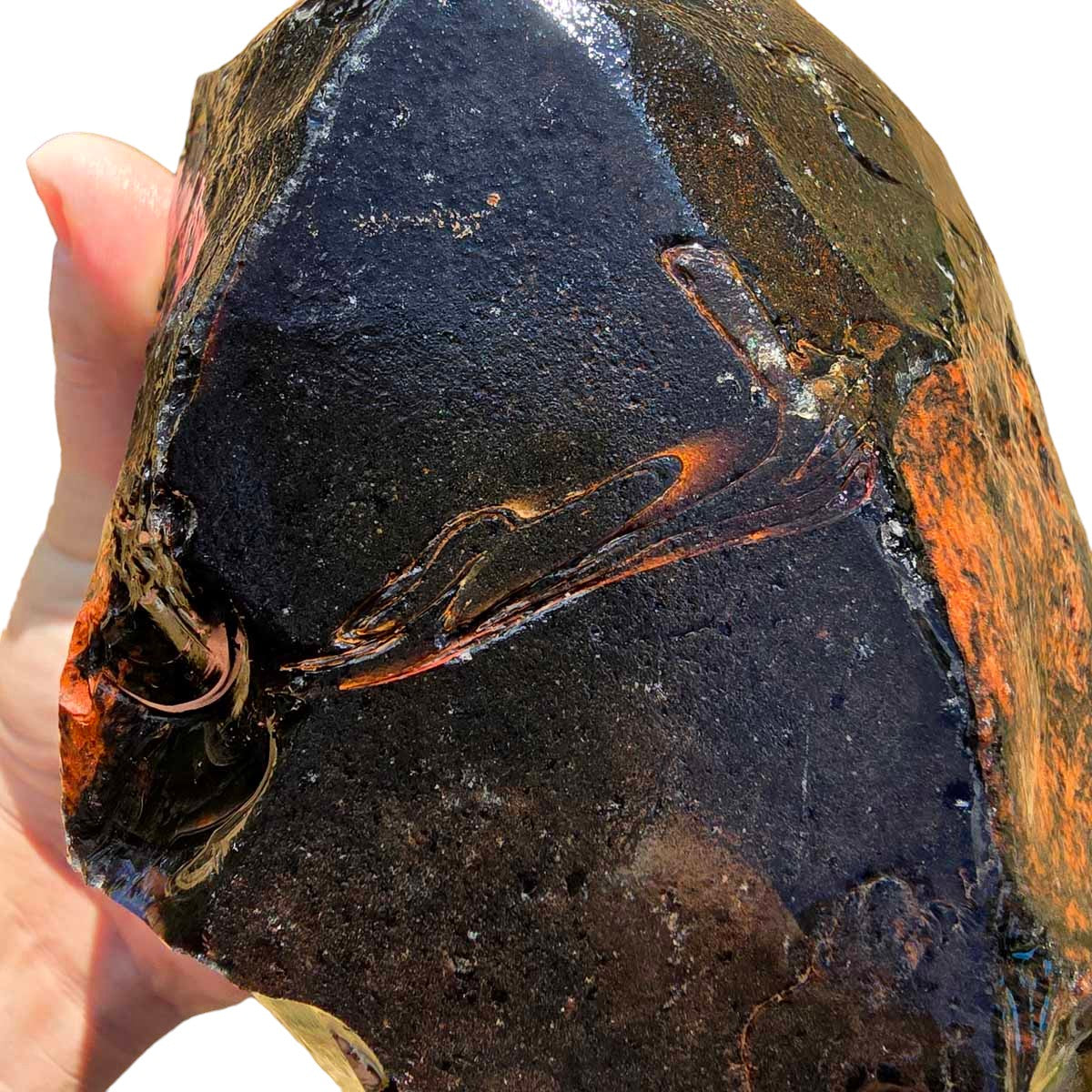 RARE Fire Glass Buttes Obsidian with Red and ORANGE Ribbon Rough Chunk