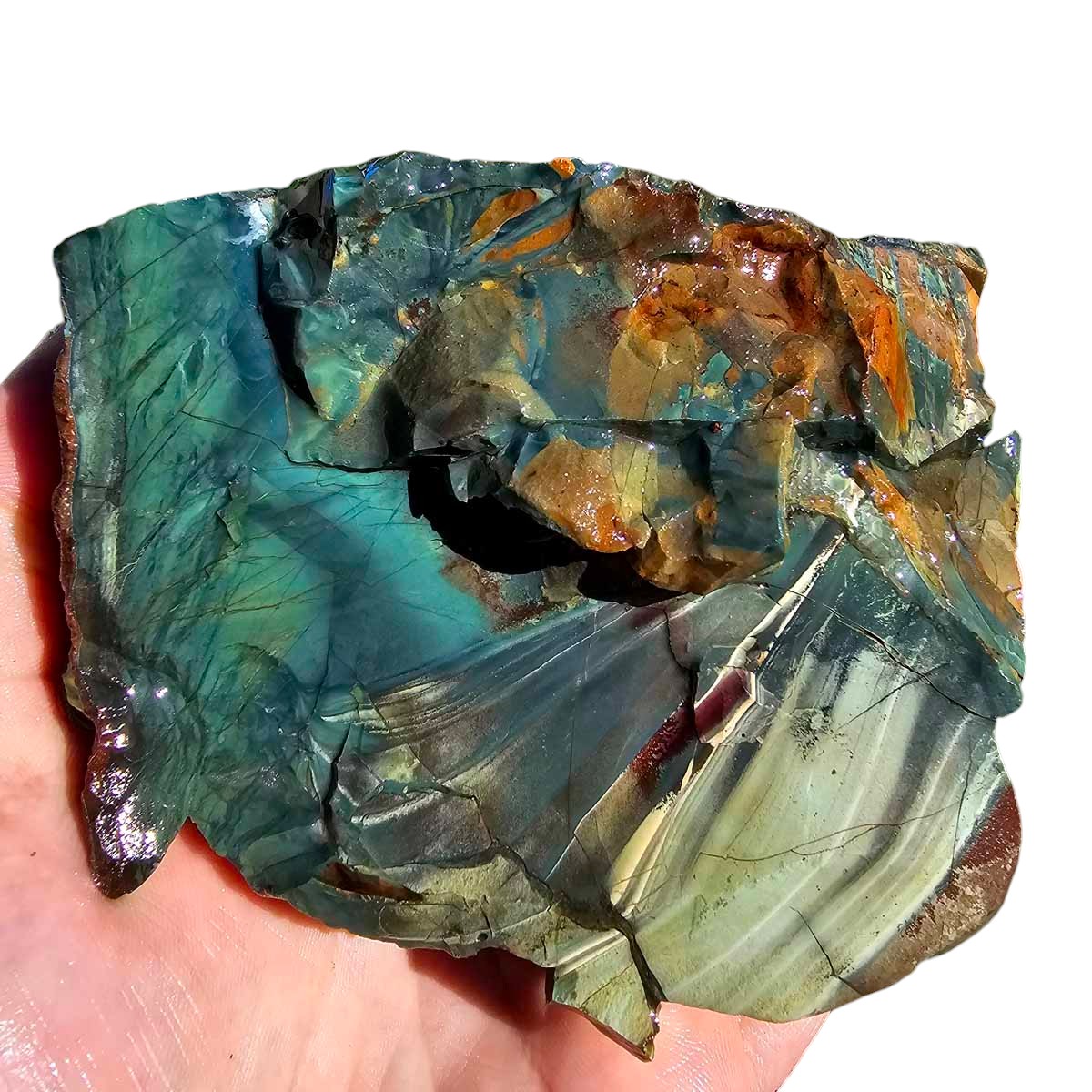 Possibly Oregon Skaggs Jasper Rough Chunk