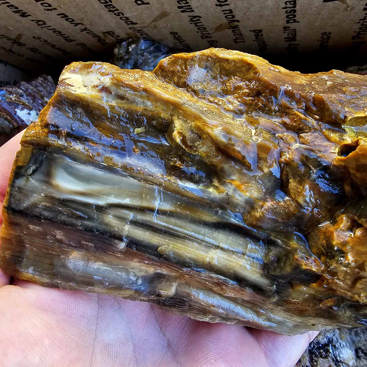 Old Stock Oregon Lapidary Agate Jasper Mix Cutting Rough Flatrate