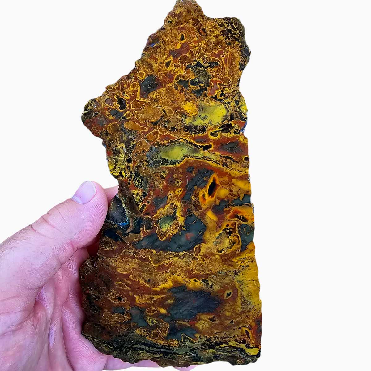 Jurassic Jasper Kaleidoscope Jasper Slab!  Lapidary Stone Slab