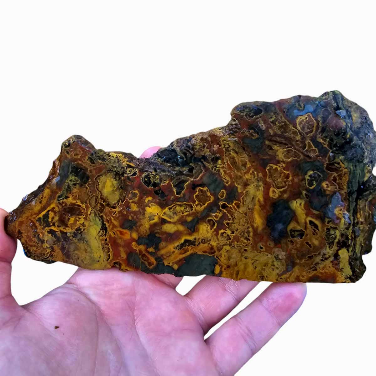 Jurassic Jasper Kaleidoscope Jasper Slab!  Lapidary Stone Slab