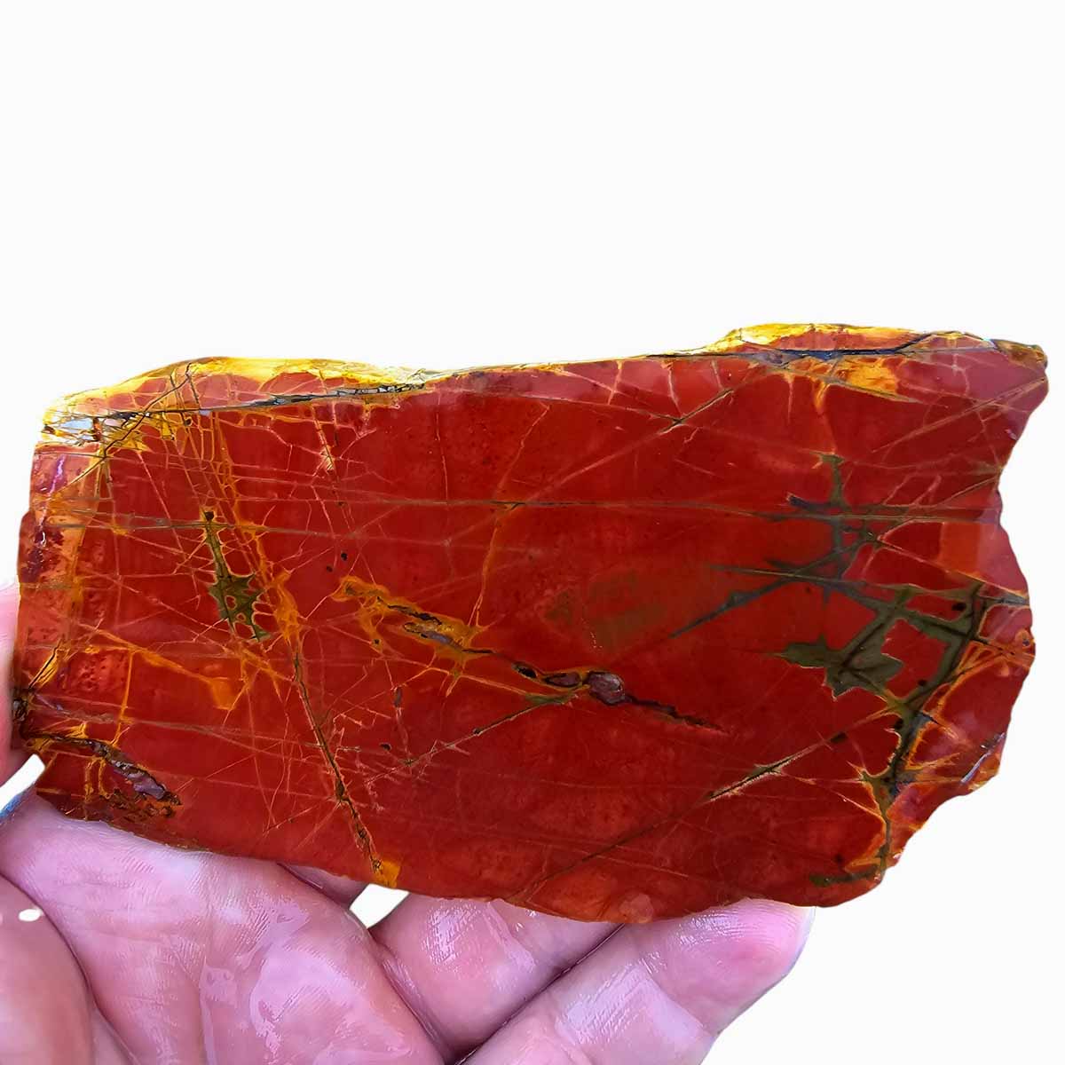 Cherry Creek Jasper Slab  Lapidary Stone Slab