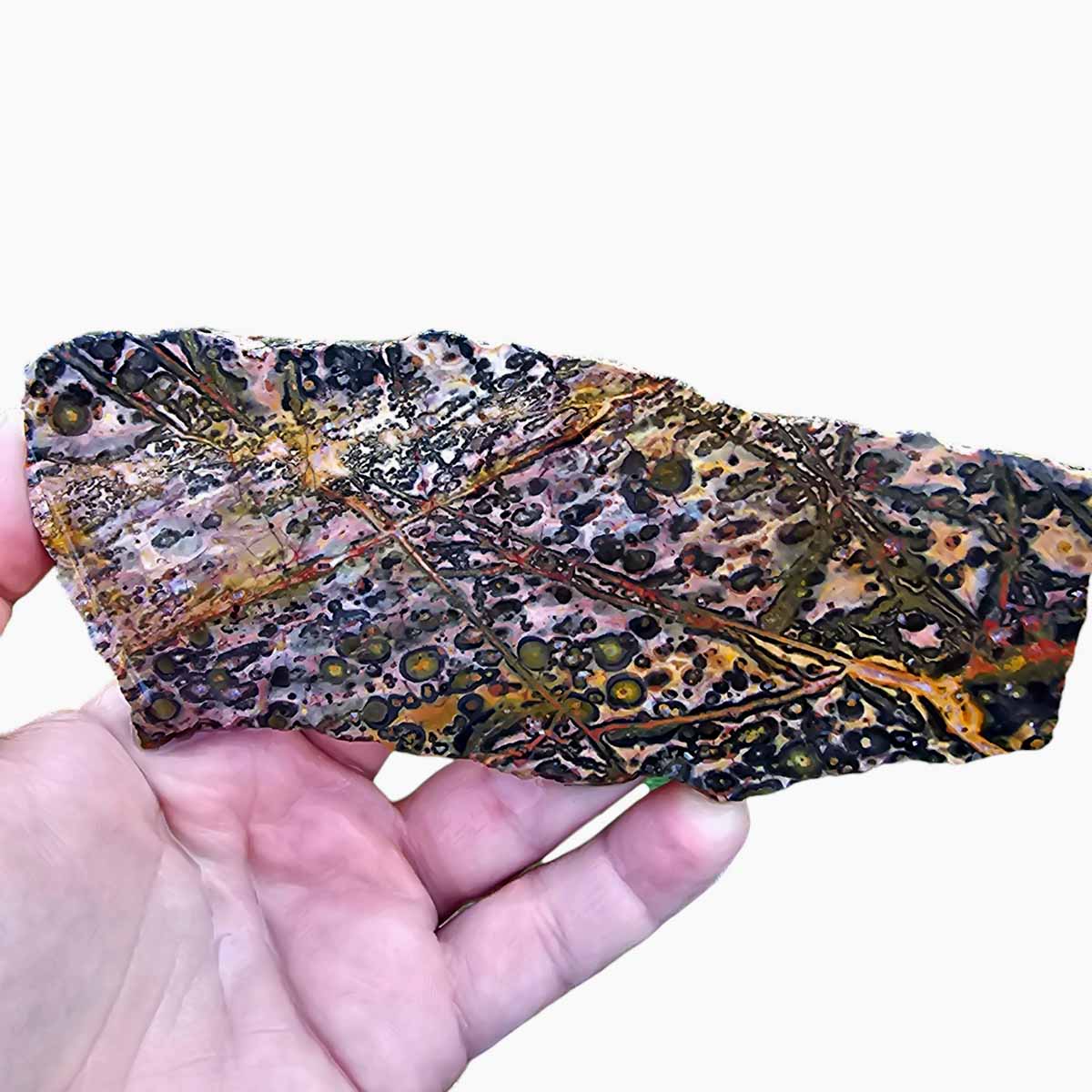 Leopard Skin Rhyolite Slab  Lapidary Stone Slab