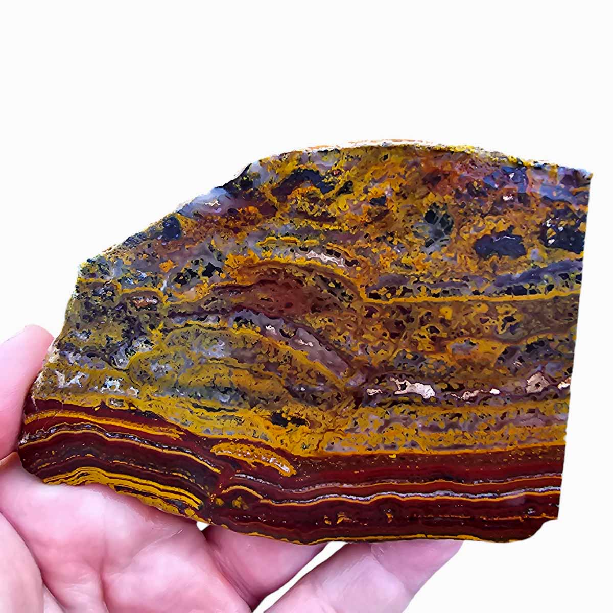 Apple Valley Jasper Slab  Fossil Stromatolite Slab