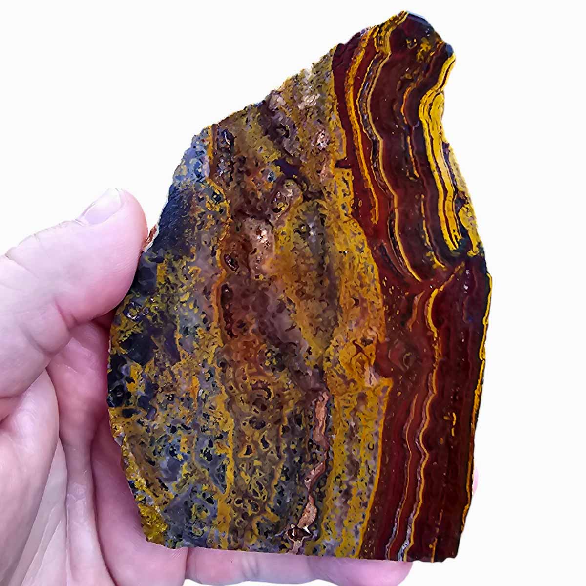 Apple Valley Jasper Slab  Fossil Stromatolite Slab