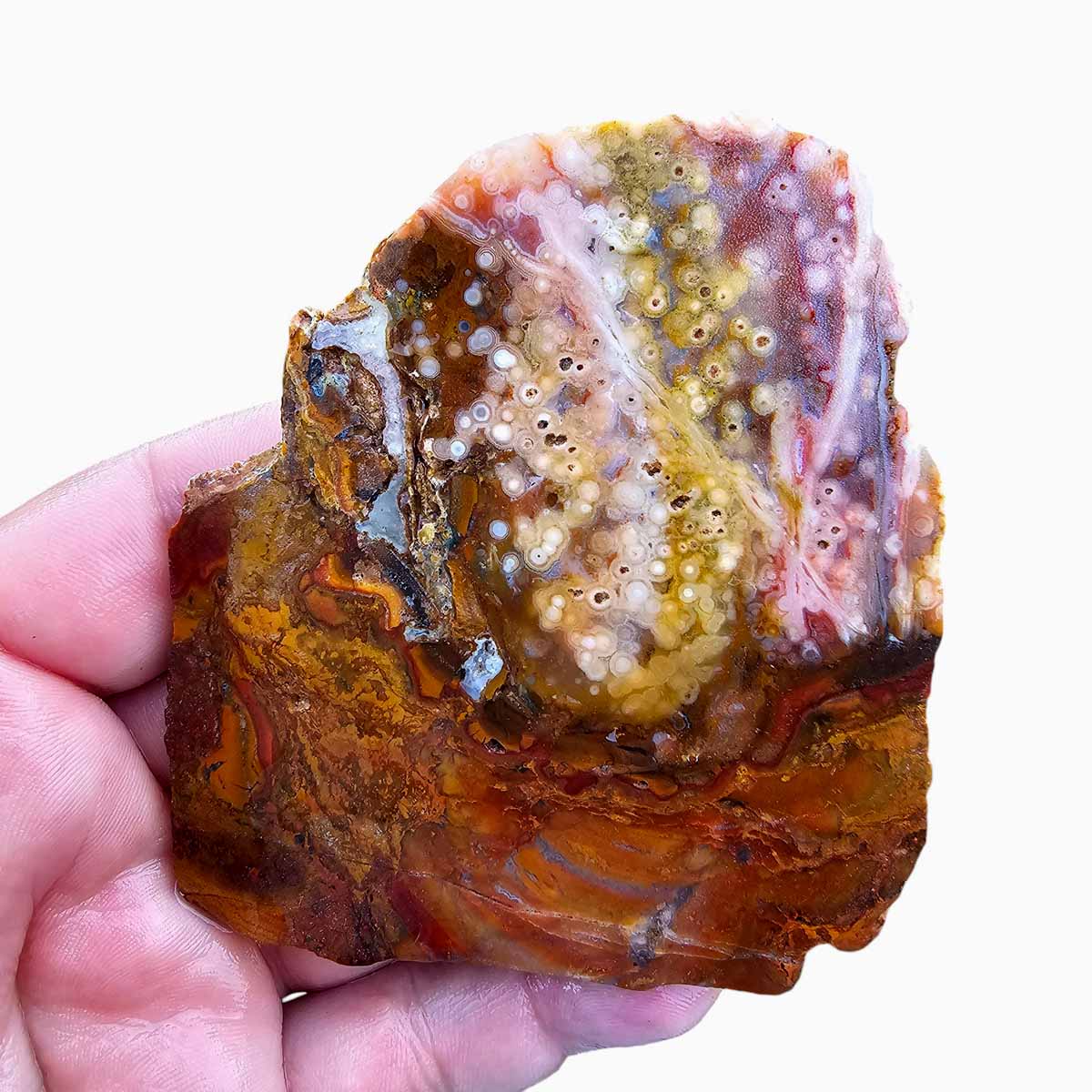 Old Stock Ocean Jasper Lapidary Stone Slab