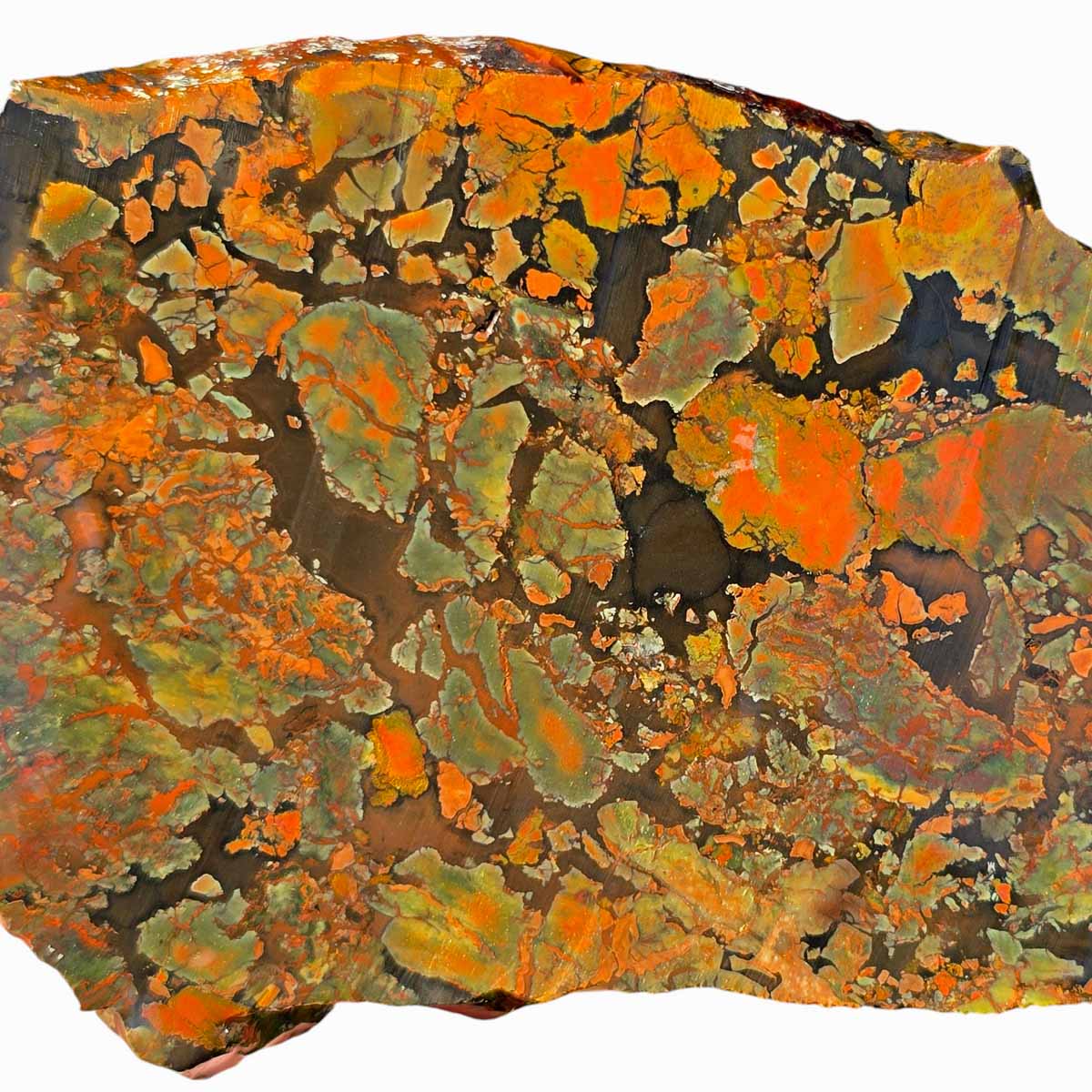 Rare Whisky Creek Brecciated Jasper Slab Lapidary Stone Slice Cut Rock