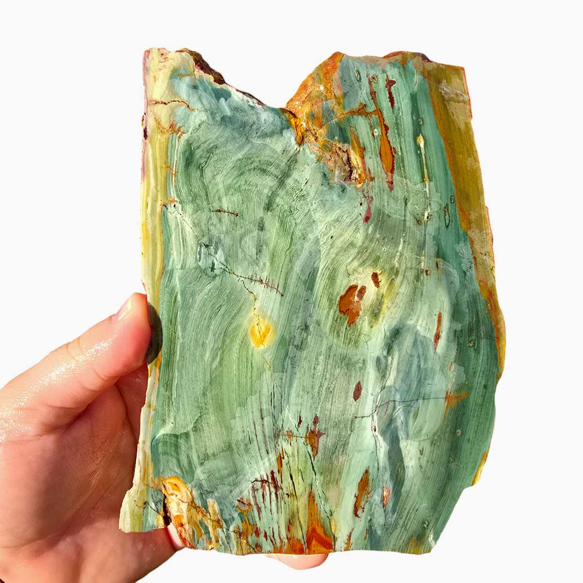 Elipso Gary Green Larsonite Freedom Jasper Slab Lapidary Stone Slice Cut Rock