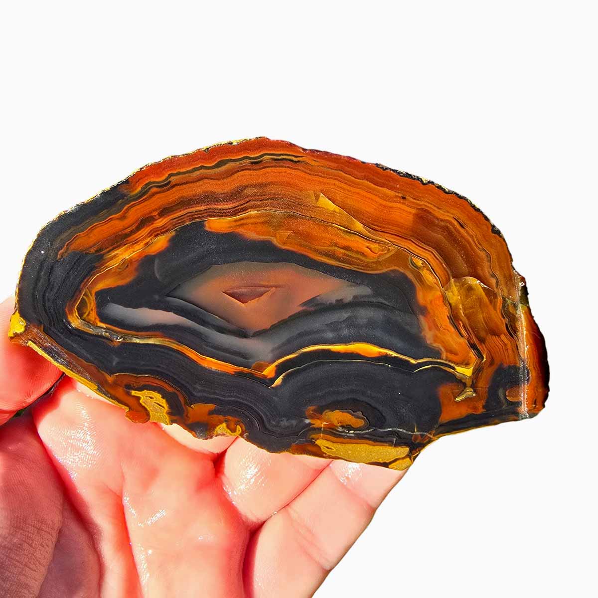 Piranha Brazilian Agate Slab  Lapidary Stone Slice Cut Rock