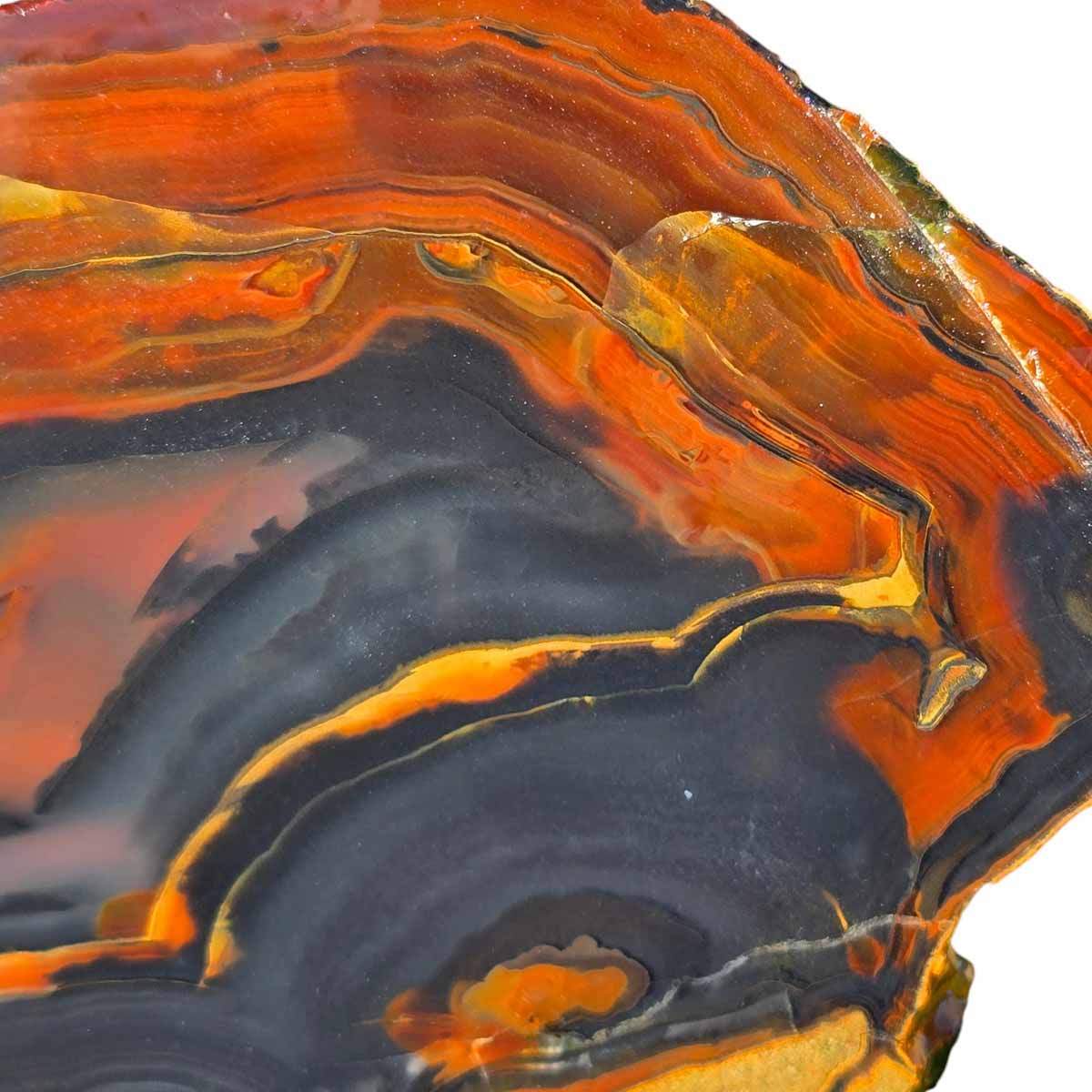 Piranha Brazilian Agate Slab  Lapidary Stone Slice Cut Rock