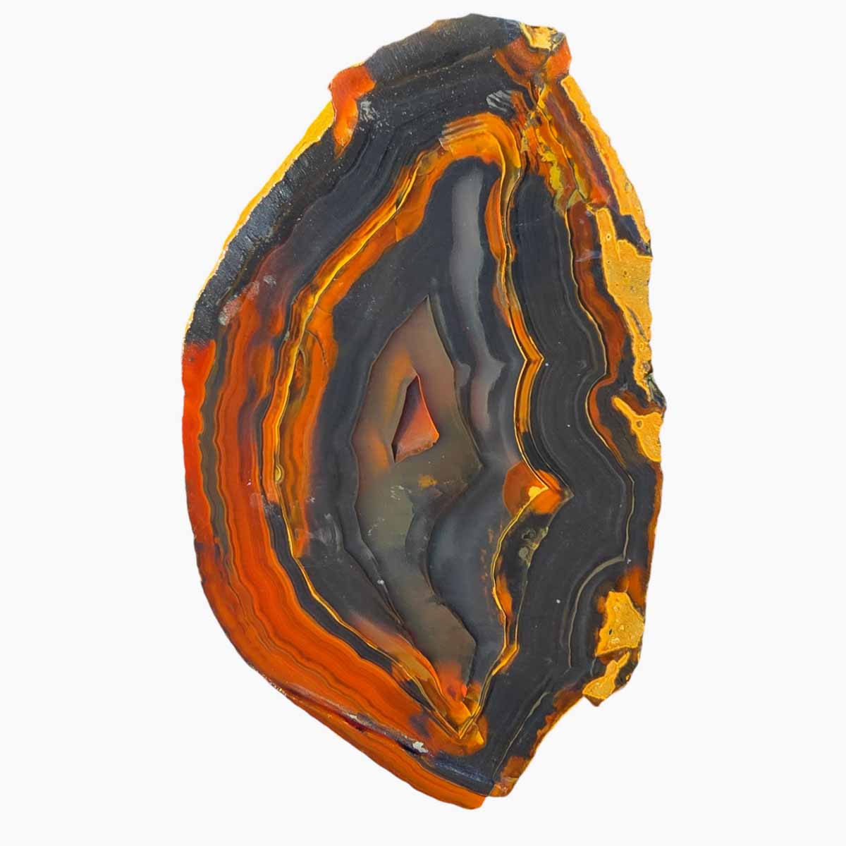 Piranha Brazilian Agate Slab  Lapidary Stone Slice Cut Rock